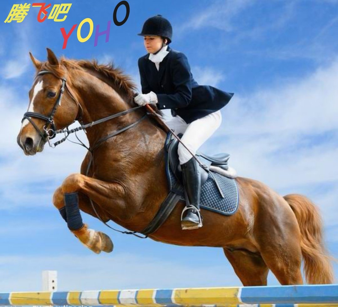 💎🌹AITD🌹💎汇通天下、通证未来、赢世界财富、让我们一起来祝福💎YOHO💎腾飞吧！
<a href="/Yang9652166/">杨门女将一AIA</a>
@xueIian1314
<a href="/zsyhj582878/">掌上银行家</a>
<a href="/zhangro23768403/">张荣</a>
尺有所短，寸有所长，永远抱一颗谦卑的心，才能让自己更加完善。人生没有完美，只有完善；岁月没有十全十美，只有尽善尽美。