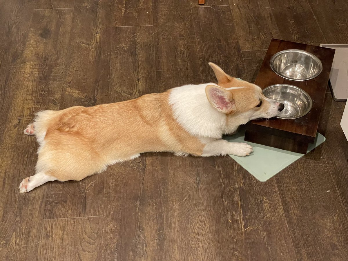 Do you think she is hungry?