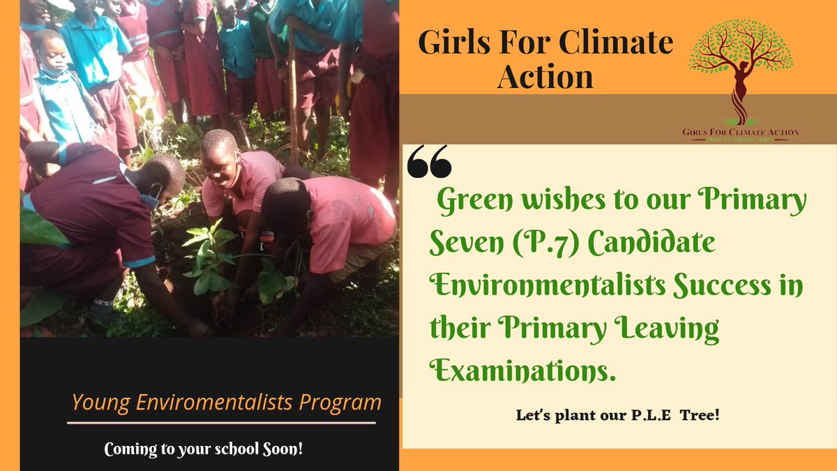 G4ClimateAction's tweet photo. "Like branches on atree, we may grow in different directions but our roots remain as one."
We join our  P.7 candidate Environmentalists to plant their #PLETree. #climatejusticenow https://t.co/2Qisbkfm7W