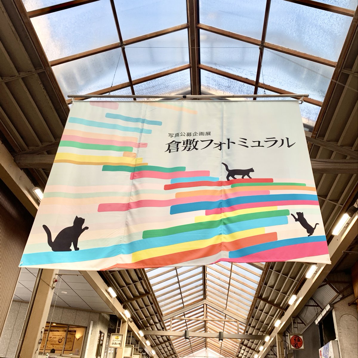 SAKURA Project tweet media