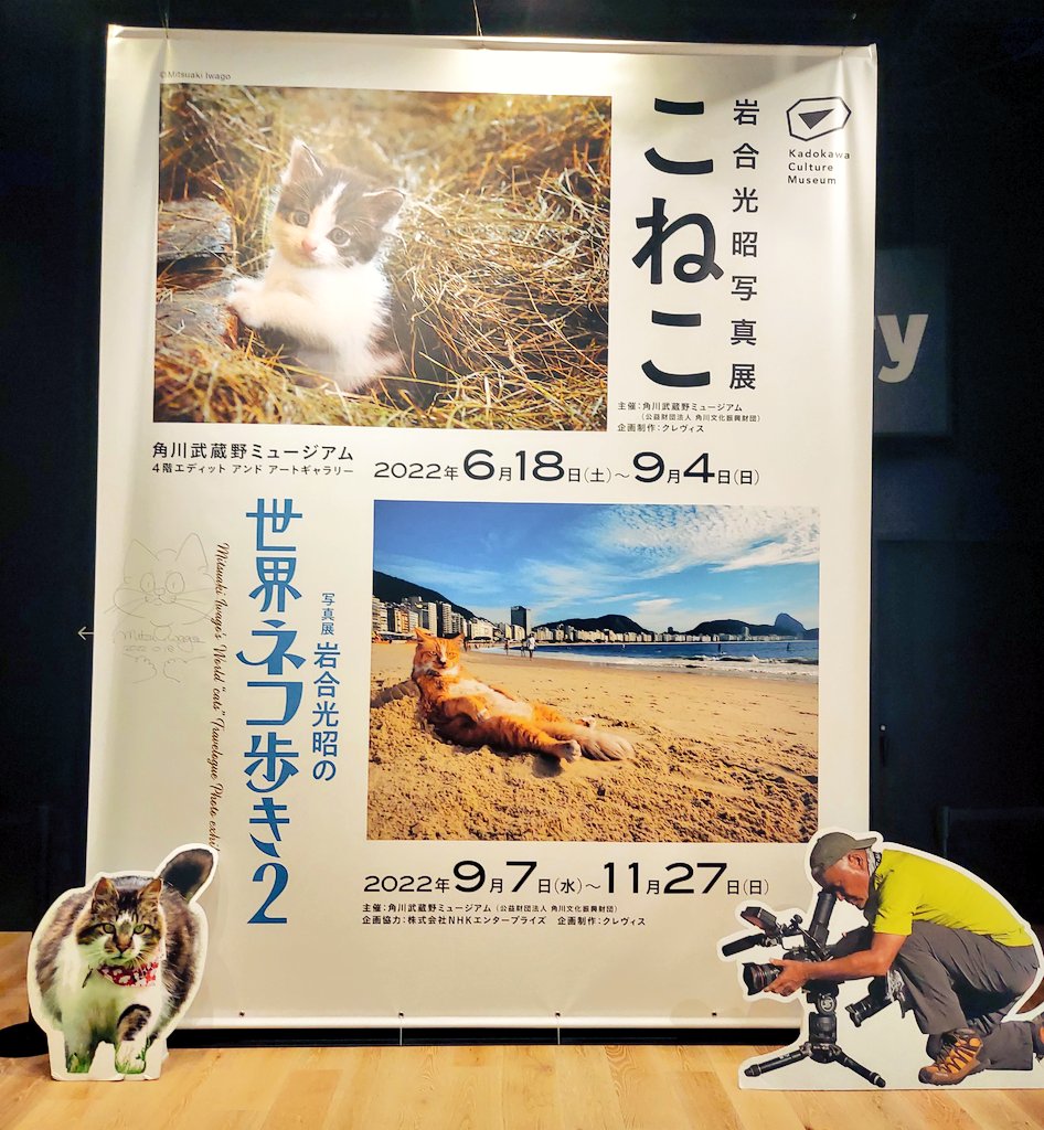 武蔵野ミュージアムの岩合さん写真展
ネコ歩きで見た個性的な猫たちの素敵写真で癒された
展示室内は写真NGだけど、写真OKな本棚エリアに撮影スポットが

岩合さんのサイン可愛いわね 