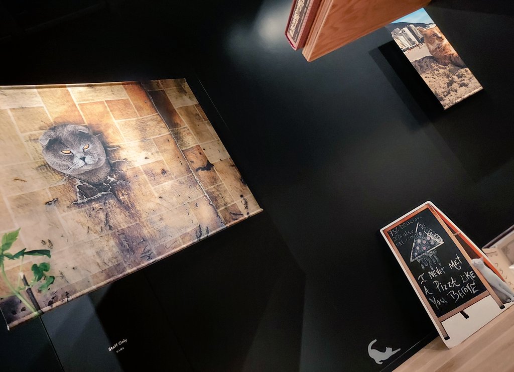 武蔵野ミュージアムの岩合さん写真展
ネコ歩きで見た個性的な猫たちの素敵写真で癒された
展示室内は写真NGだけど、写真OKな本棚エリアに撮影スポットが

岩合さんのサイン可愛いわね 