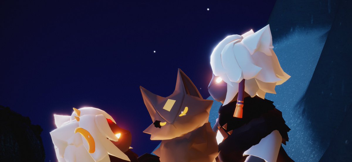 猫喜んでて可愛かった