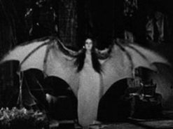 KevSothoth's tweet photo. Mark of the Vampire 1935
Bela Legosi as Count Mora
Carroll Boreland as Luna (O.G. GOTH PRINCESS) Legend is that she was an obsessed Legosi fan who wrote him letters and ended up getting the role. #horror #gothicgirl #BelaLegosi #31dayhorrorchallenge https://t.co/ILZ31kvIax
