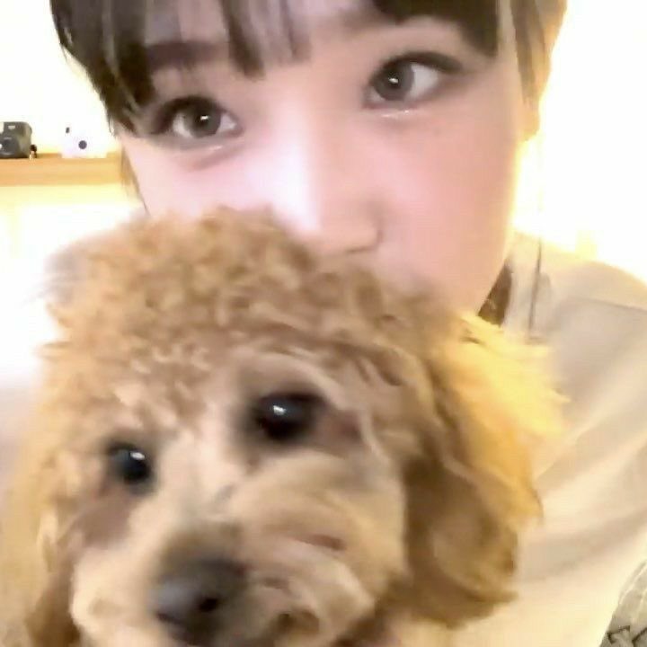 #MAMAVOTE #yena