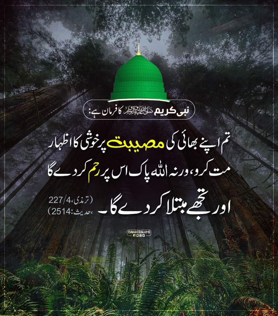 Muhammad Naeem Bhatti tweet media