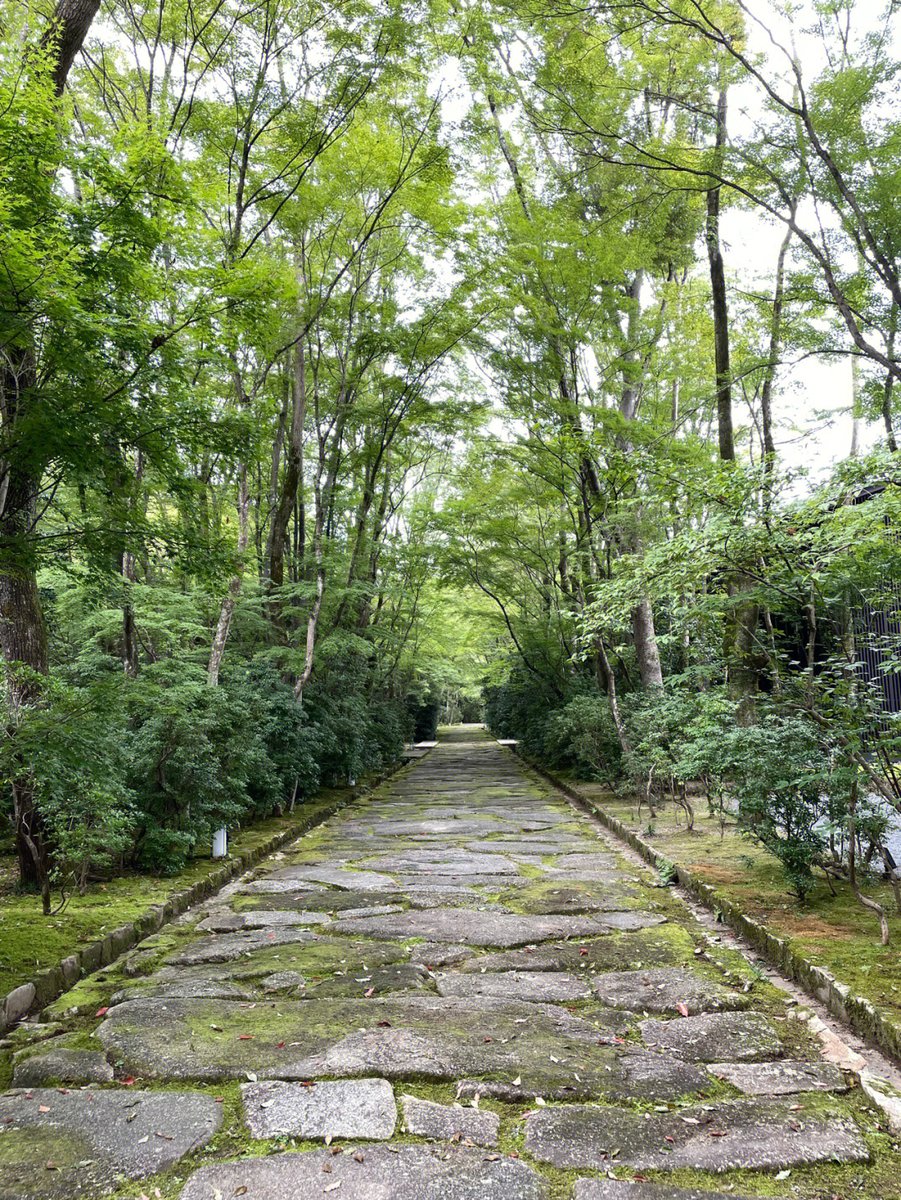毎日の散歩の小道を歩くたびに。気分も穏やかになります😊