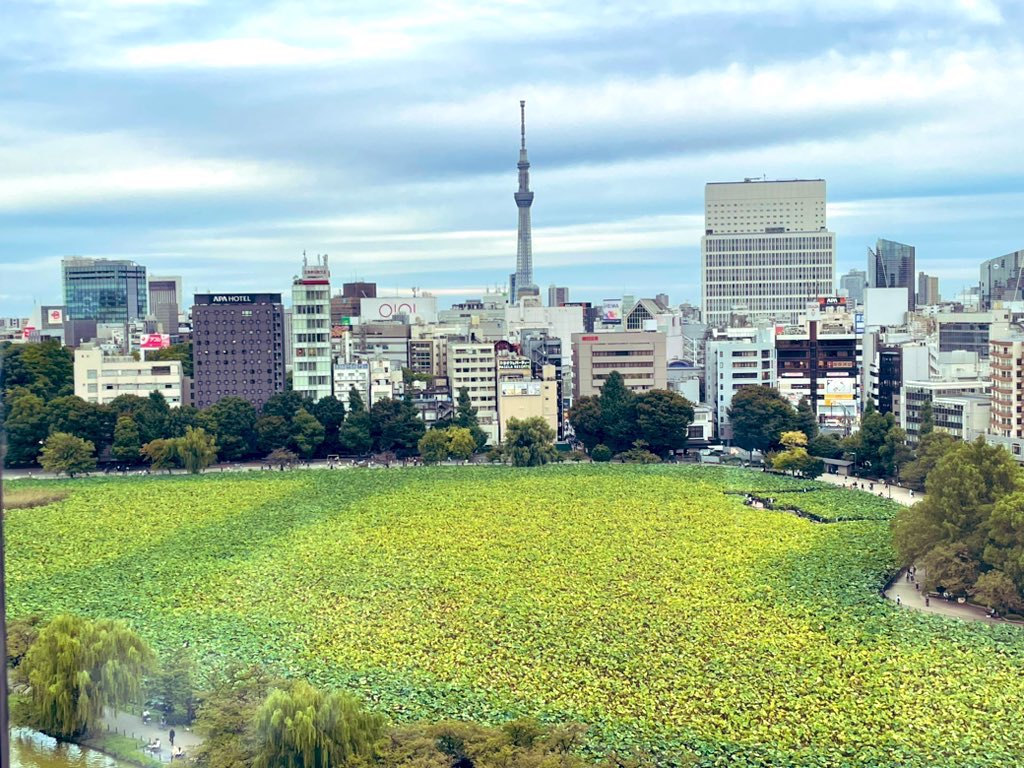 lucisgarden's tweet photo. おはようございます🌱
10月後半ランチメニューより
【健美御膳】のご紹介です！

メイン料理🔶大海老と甲烏賊･銀杏の柚子胡椒炒め
小菜🔸緑茶豚とタロイモの黒酢ソースです！
ご飯又は豆乳粥🍚のどちらかお選び頂けます！
皆様はどちらにしますか🤔
ご来店お待ちしております！
 #中華  #大海老 https://t.co/r5B8UKtaOQ
