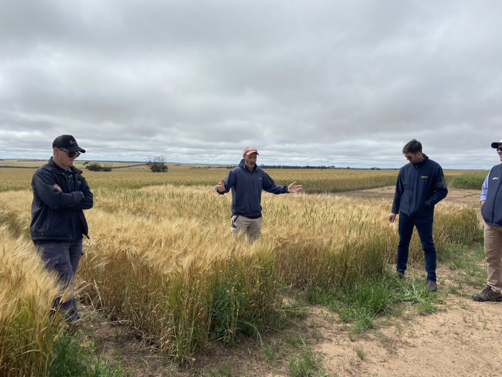 AlanaHartley88's tweet image. Thanks Shannon Larwood for putting it in your own words how you discovered QPE tolerant barley. Your discovery has given rise to the worlds first CoAxium barley variety Titan AX.