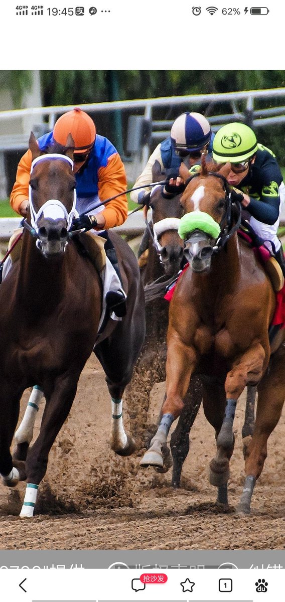 @YOHO_Aitd 期待赛马游戏的开始