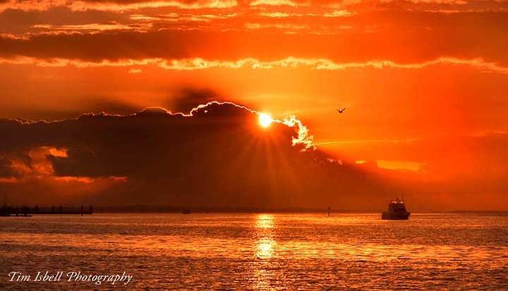 Tim Isbell tweet media