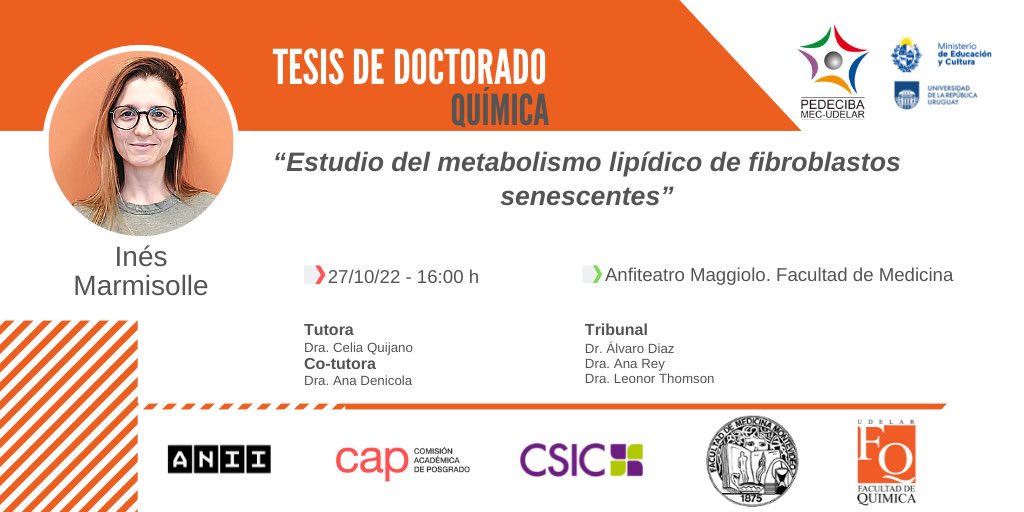 El jueves 27/10 defiende la Tesis de Doctorado Ines Marmisolle. Estamos muy contentas de llegar a esta etapa. Gracias por el apoyo: ⁦<a href="/PEDECIBA/">PEDECIBA</a>⁩ ⁦@QuimicaUruguay⁩ ⁦<a href="/Udelaruy/">Universidad de la República</a>⁩ ⁦<a href="/ceinbio/">CEINBIO</a>⁩ ⁦<a href="/ANIIuy/">ANII - Uruguay</a>⁩