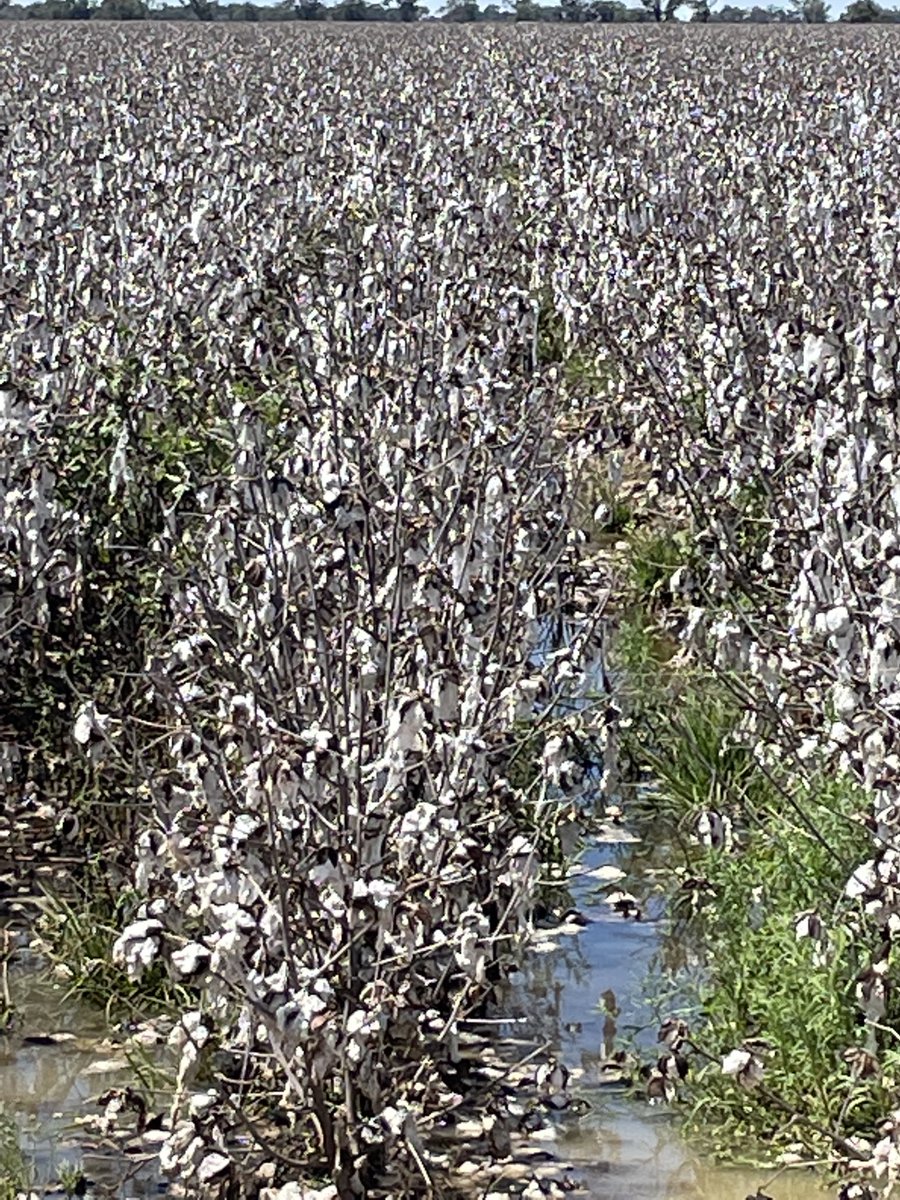 Rob Tuck tweet media