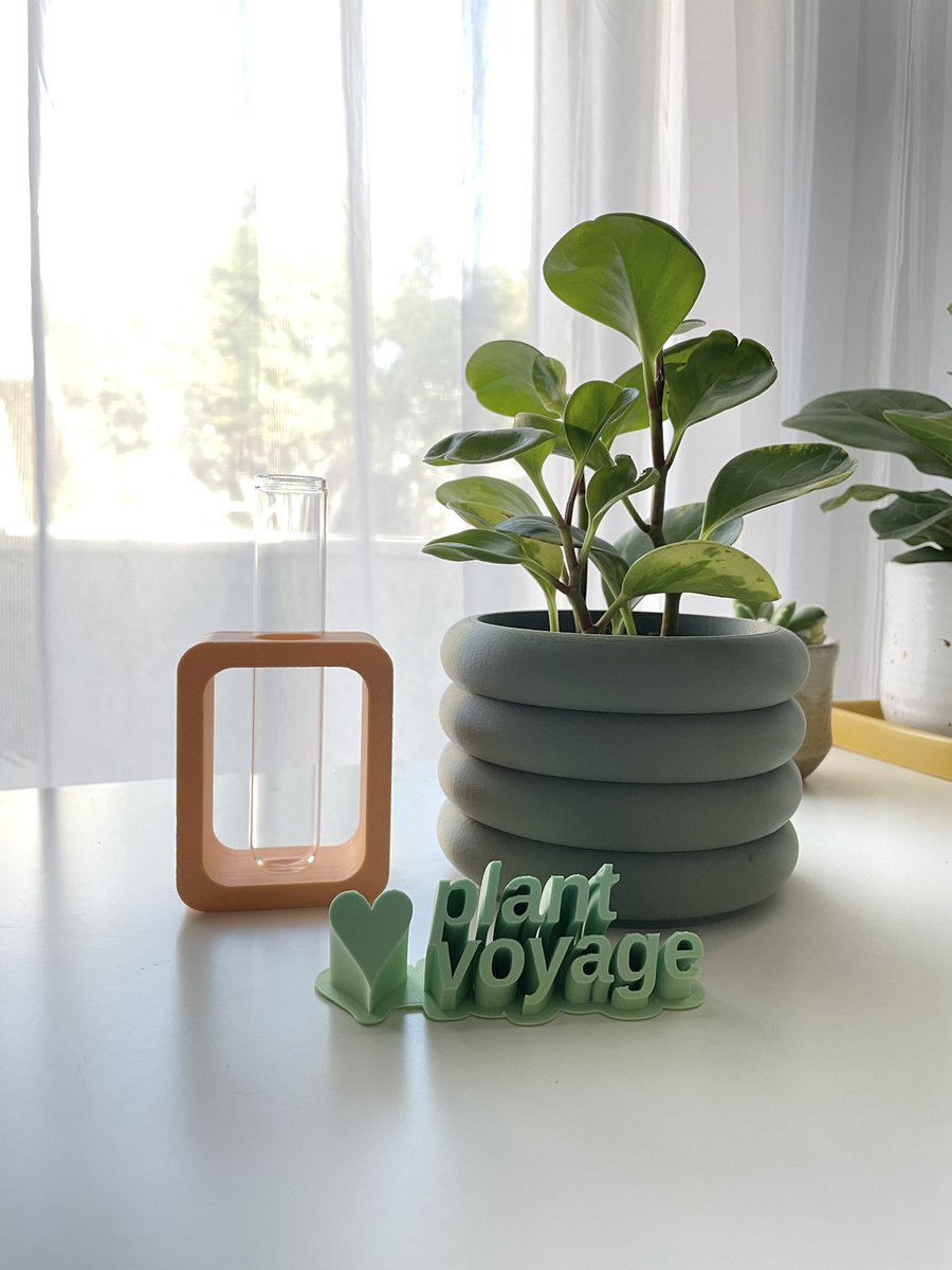 itsmichaeltodd's tweet photo. Go follow @ Aplantvoyage on IG and check out the 3D printed propagation stands I designed! More colors coming very soon.  

#houseplants #plants #propagation #3dprinter https://t.co/9i1Xu5pgXi