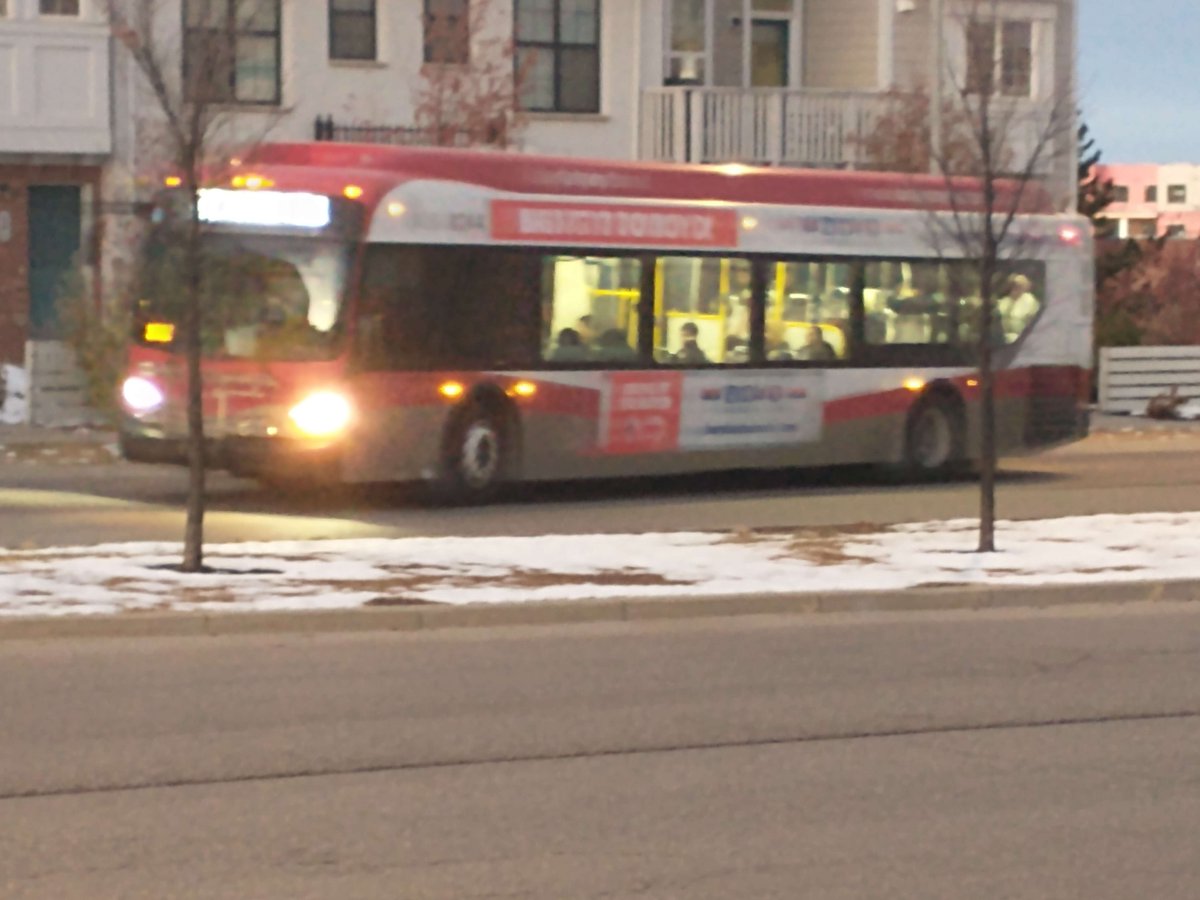 CGY_Anand's tweet photo. @calgarytransit Another surprise on the #Route82 today, 8244 on the 82. One of the special one's, with the white dest. https://t.co/QNBqgjwyGg