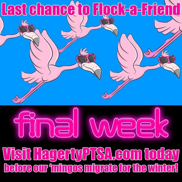 Only a few dates of our FLOCKTOBER FUNDRAISER is left and we still have some FLOCK A FRIEND dates available! All proceeds go to our Senior Scholarship Fund. To brighten a friend’s yard, reserve your date here:  hagerty-high-school-ptsa.square.site.