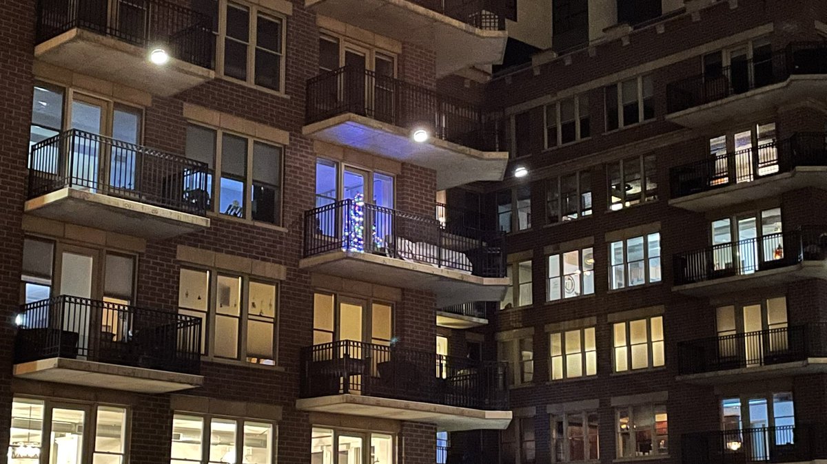 Meowaukee Cats! tweet media