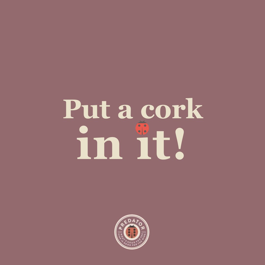 PredatorWines's tweet photo. Or uncork it! We're here for it all...🍷 https://t.co/MXCQEMCn6Y