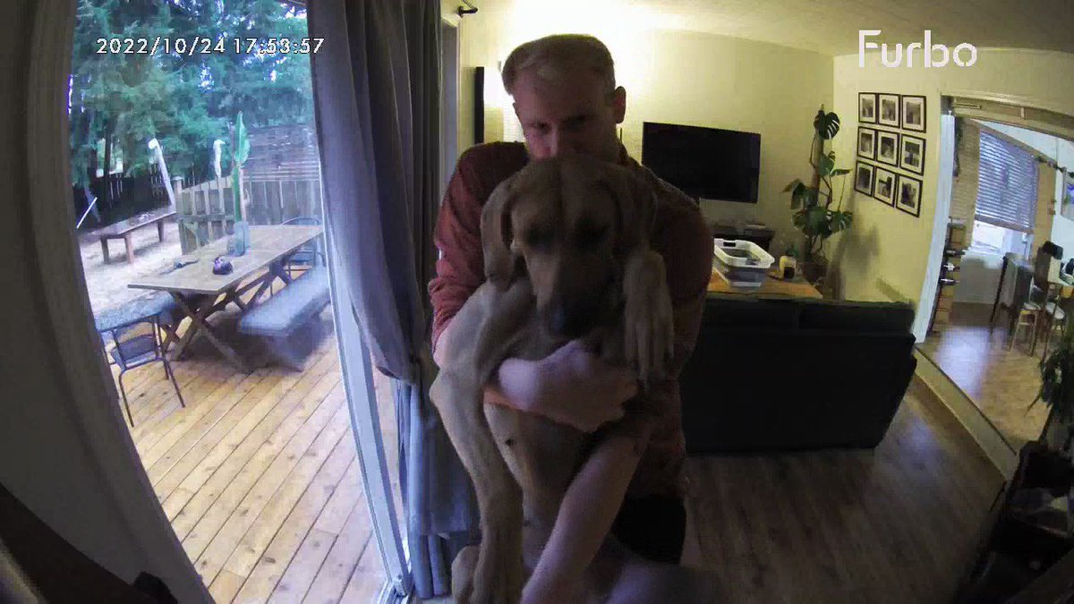 every time I’m away from home I make my husband hold our dog up to the @FurboDogCamera so I can tell her I love her 😭