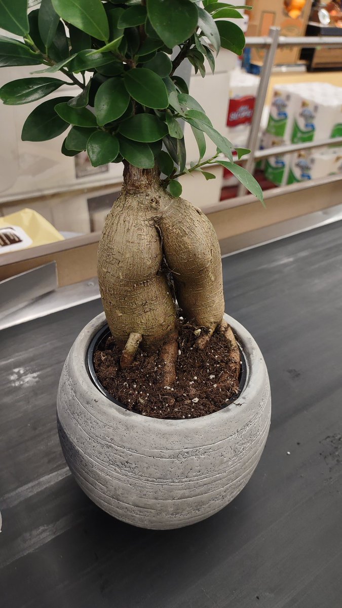 I should call her 👁️👄👁️
