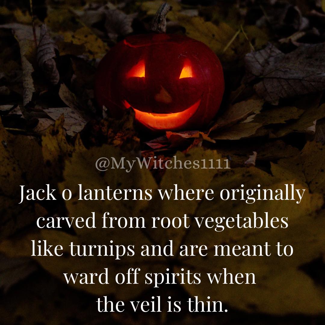 thewitchbrmclst's tweet photo. Jack o lanterns https://t.co/5o7AdPuIQO