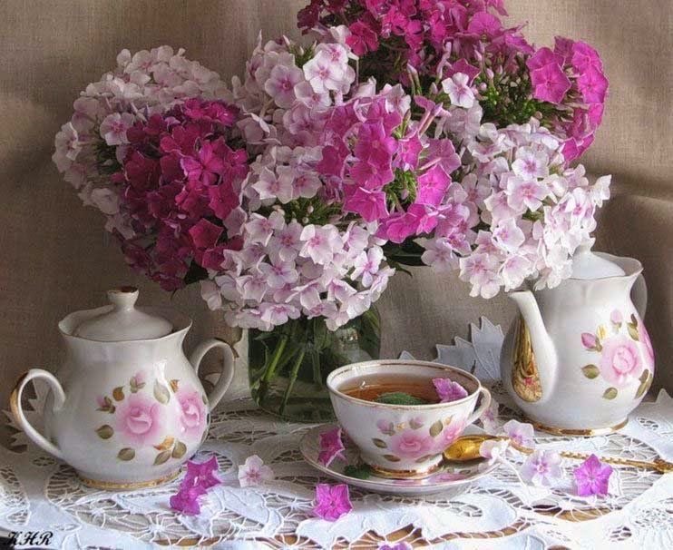 Νοσταλγική καλημέρα!🍃🌸🍃🌸🍃🌸🍃🌸🍃🌸🍃🌸🌸🍃🌸🍃