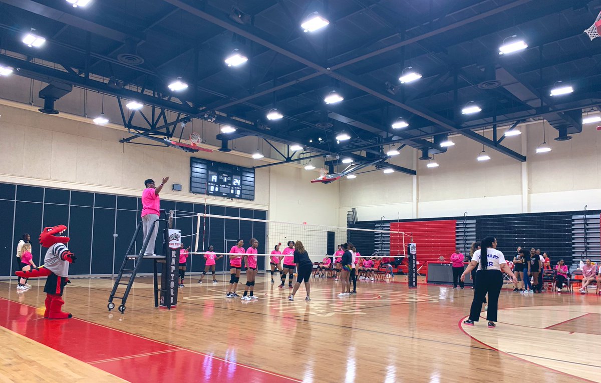 Kolios_Rich227's tweet photo. Our favorite Raptor hanging with the 🏐 Freshman Volleyball 🏐players at the 💕Pink Out💕game! @RichTownshipHS @RTHS_Athletics @RTHSActivities https://t.co/JHQcUA7iJt