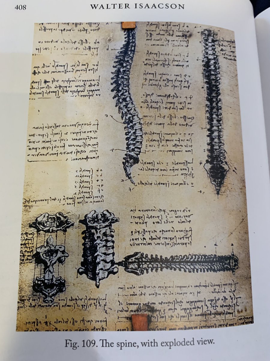 Leonardo Da Vinci’s study of the spine #art #nature #anatomy #neuroscience