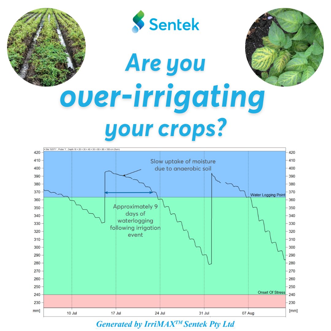 SentekTech's tweet photo. Saturated soil causes crops to use less water daily than optimal due to lack of air in the soil.. It will cause wastage of valuable water and fertilisers. Ask your farmers:

Are you over-irrigating your crops?

Find out today using Sentek's soil data probes and IrriMAX software. https://t.co/XdP8ZCrGYq