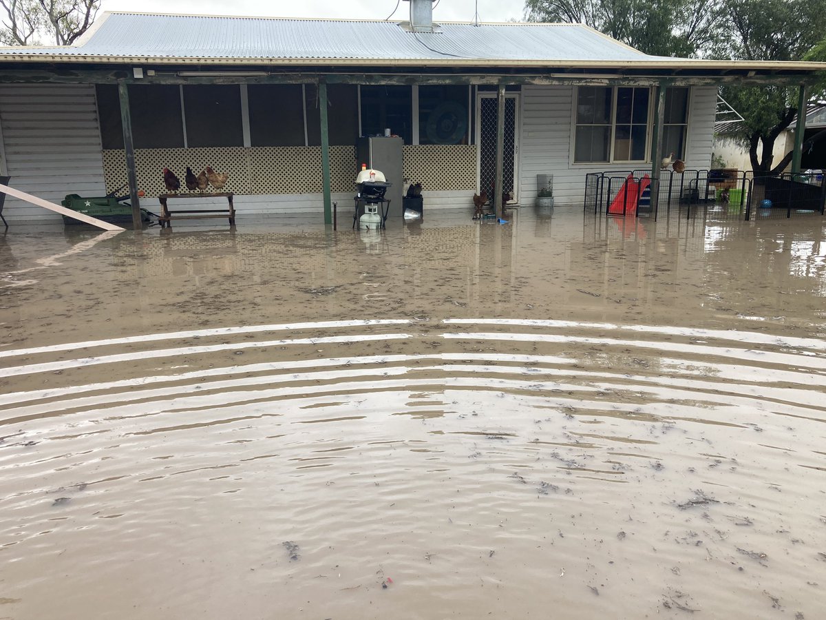 jacob_foster96's tweet photo. Went to bed with 25mm of rain. Woke up to 200mm and sound of water breaking through levee. I was panicking but my 3 boys thought the helicopter ride was fun 😂. Thanks to SES. Luckily water was about 5mm from going into the house. All animals were safe, couldn’t have been luckier https://t.co/ygJ9Iy9QvX