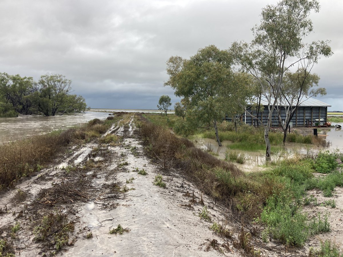 jacob_foster96's tweet photo. Went to bed with 25mm of rain. Woke up to 200mm and sound of water breaking through levee. I was panicking but my 3 boys thought the helicopter ride was fun 😂. Thanks to SES. Luckily water was about 5mm from going into the house. All animals were safe, couldn’t have been luckier https://t.co/ygJ9Iy9QvX