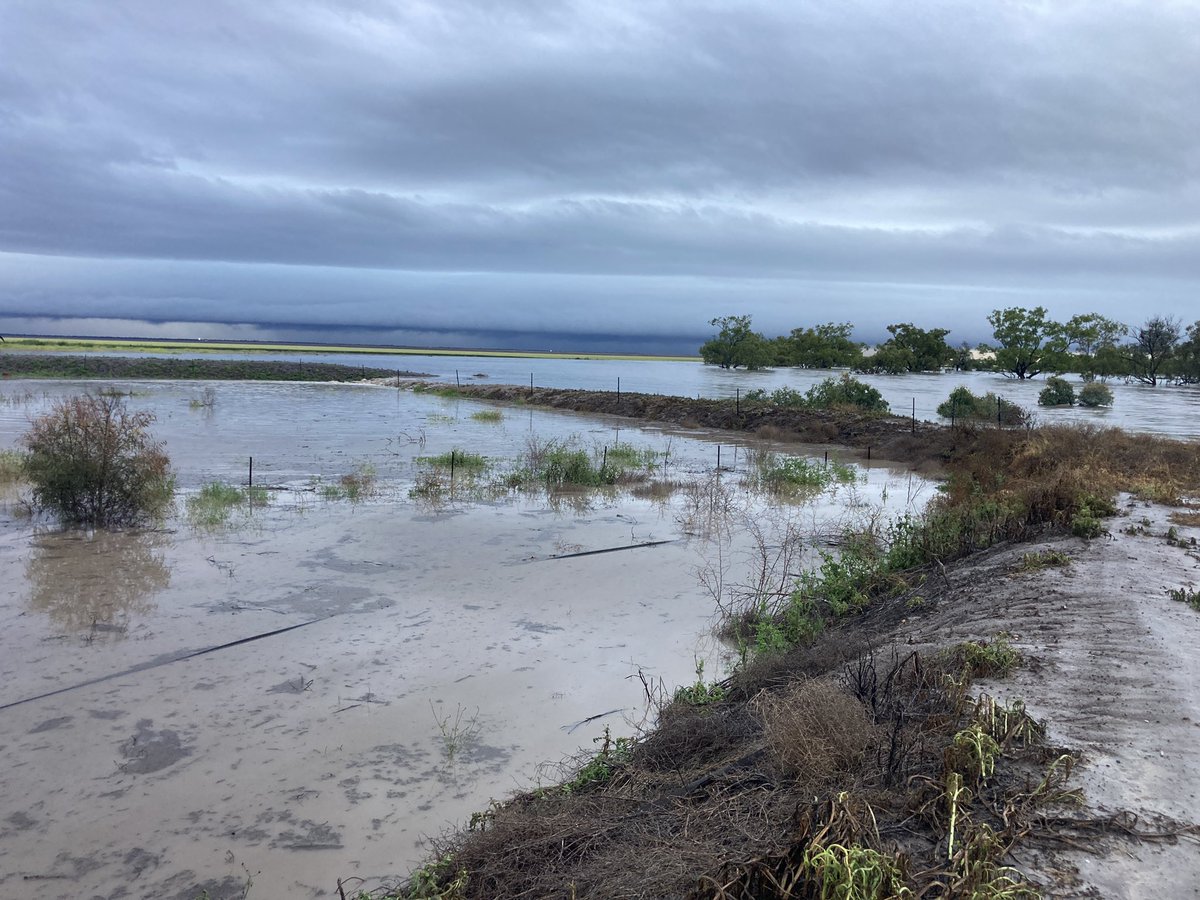 jacob_foster96's tweet photo. Went to bed with 25mm of rain. Woke up to 200mm and sound of water breaking through levee. I was panicking but my 3 boys thought the helicopter ride was fun 😂. Thanks to SES. Luckily water was about 5mm from going into the house. All animals were safe, couldn’t have been luckier https://t.co/ygJ9Iy9QvX