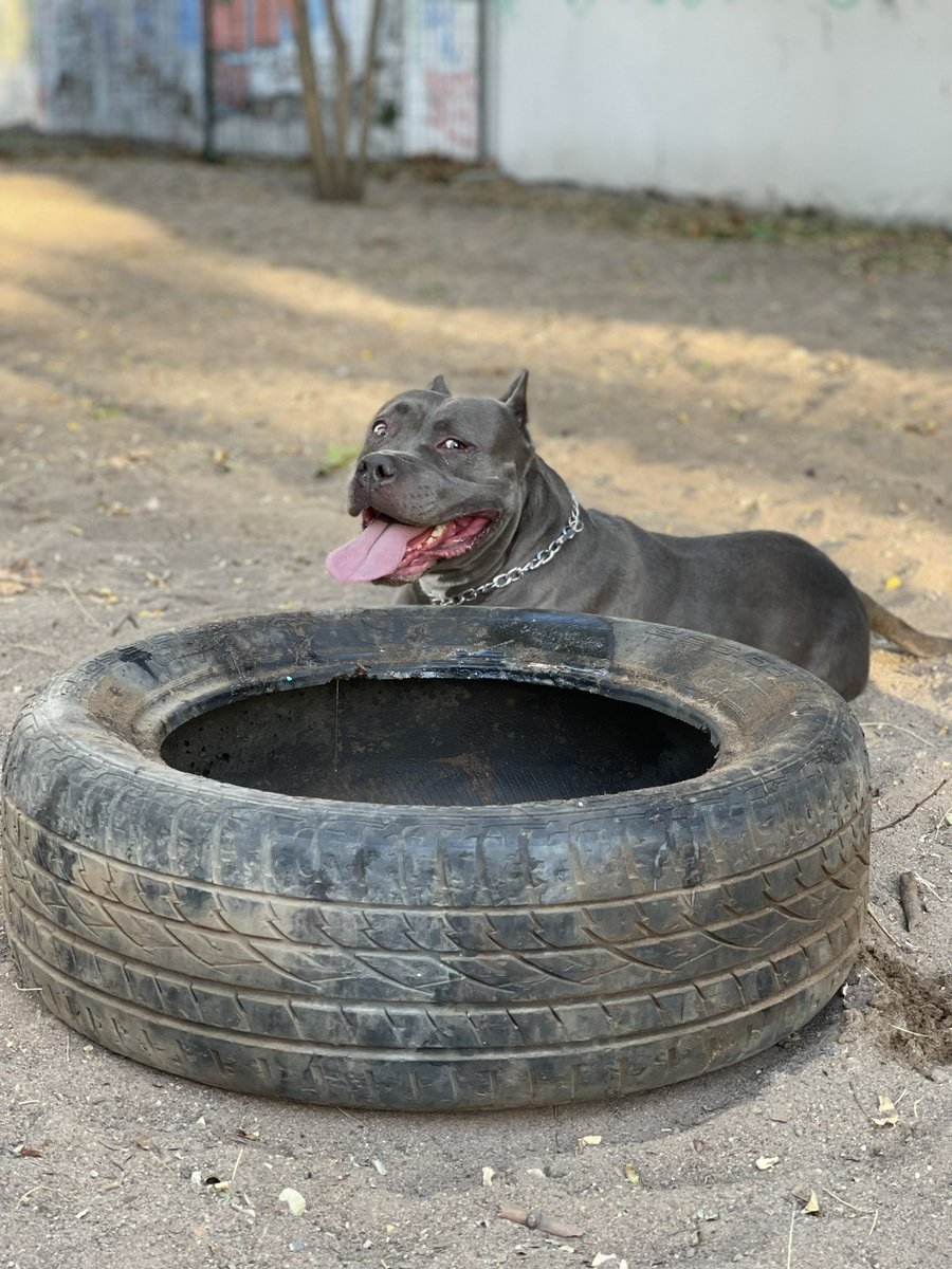 MG (@qvenc) on Twitter photo 