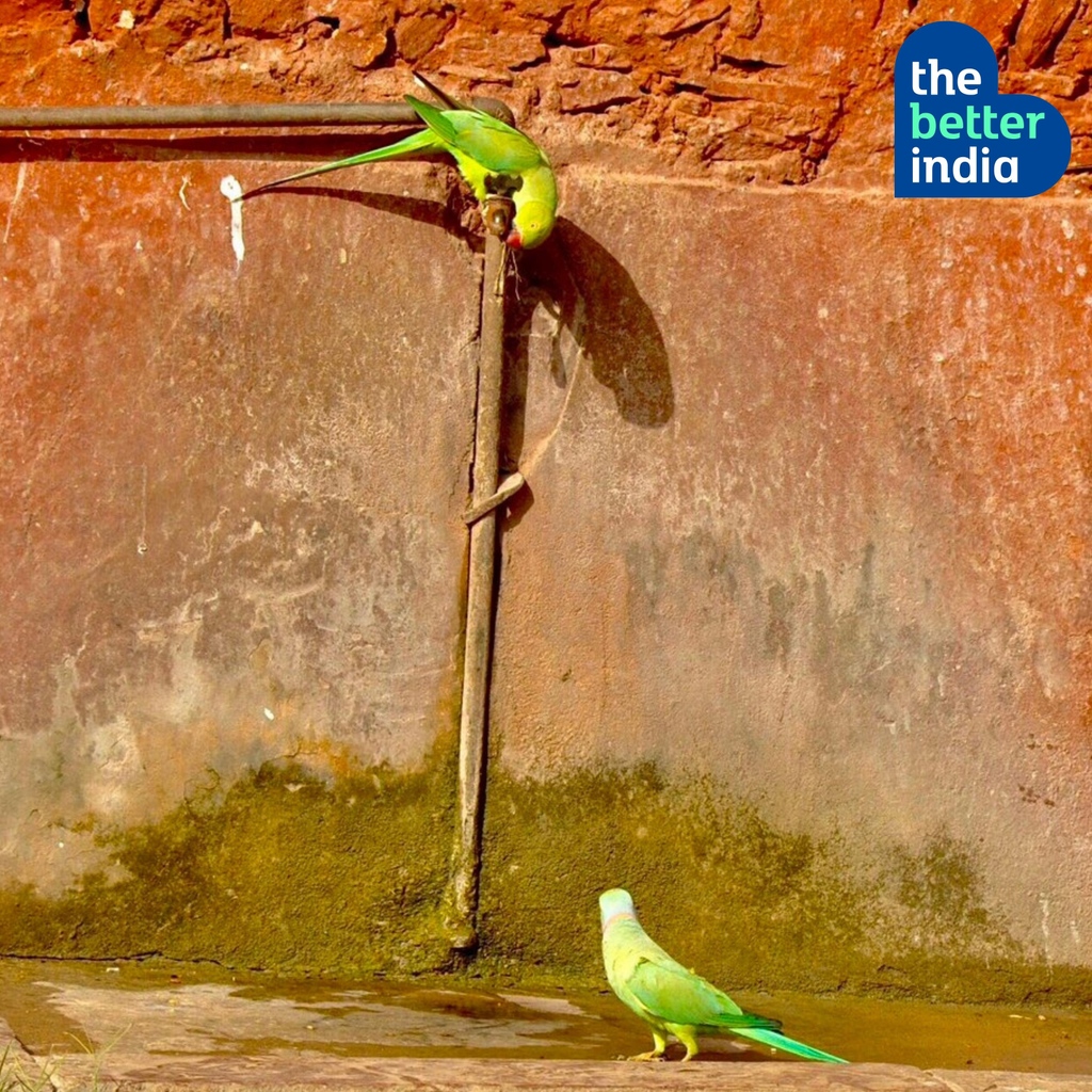 thebetterindia's tweet photo. It takes a lot of blues to stay green. Conserve water; every drop counts. #SaveWater

PC - @MonaPatelT
Thanks for sharing this! https://t.co/nn2pG53oOI