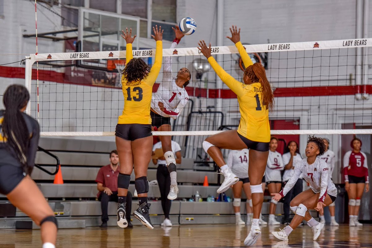 Lady Bears Top Bulldogs on Road |#ForGoree bit.ly/3D6YapA