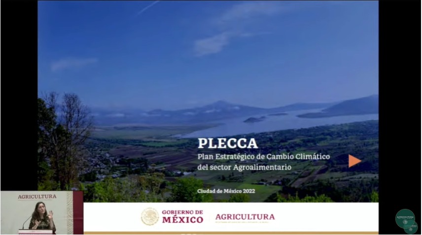vmva1950's tweet photo. @Agricultura_mex puso en marcha el Plan Estratégico de Cambio Climático p/ el sector Agroalimentario #PLECCA, c/ el objetivo de instrumentar un sistema alimentario productivo, justo, incluyente, sustentable, bajo en emisiones de gases de efecto invernadero y resiliente.🧵 https://t.co/BpkcQX0Vpd
