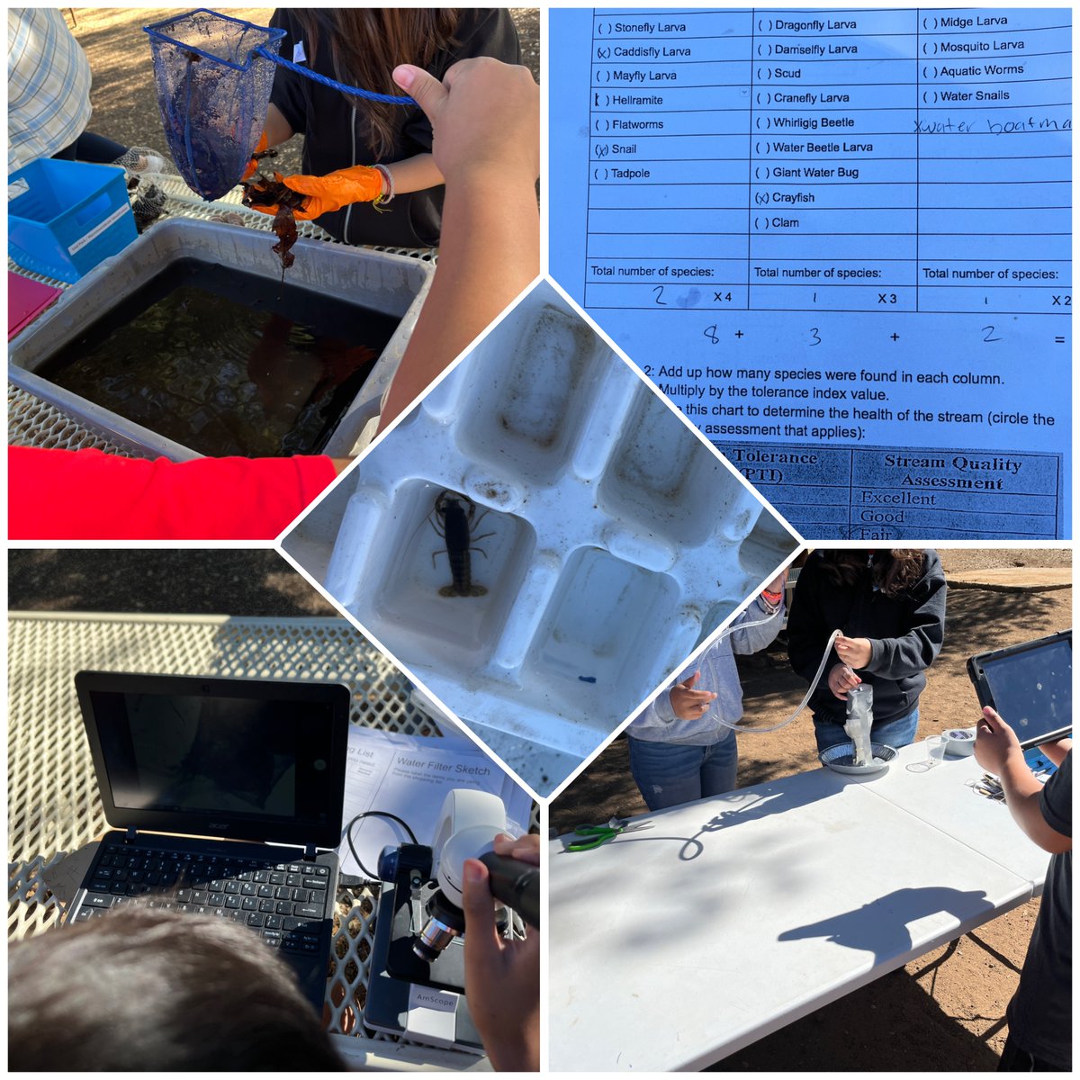 De Luz Ecology Center began its 6th-grade program on outdoor survival skills tied to the Hatchet. Day 1, students focused on the importance of clean water for survival by examining macro-invertebrates in leaf packets from the Santa Margarita River and by creating water filters.