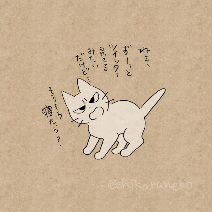 寝る前のTwitterがやめられない人を叱ってくれる猫 