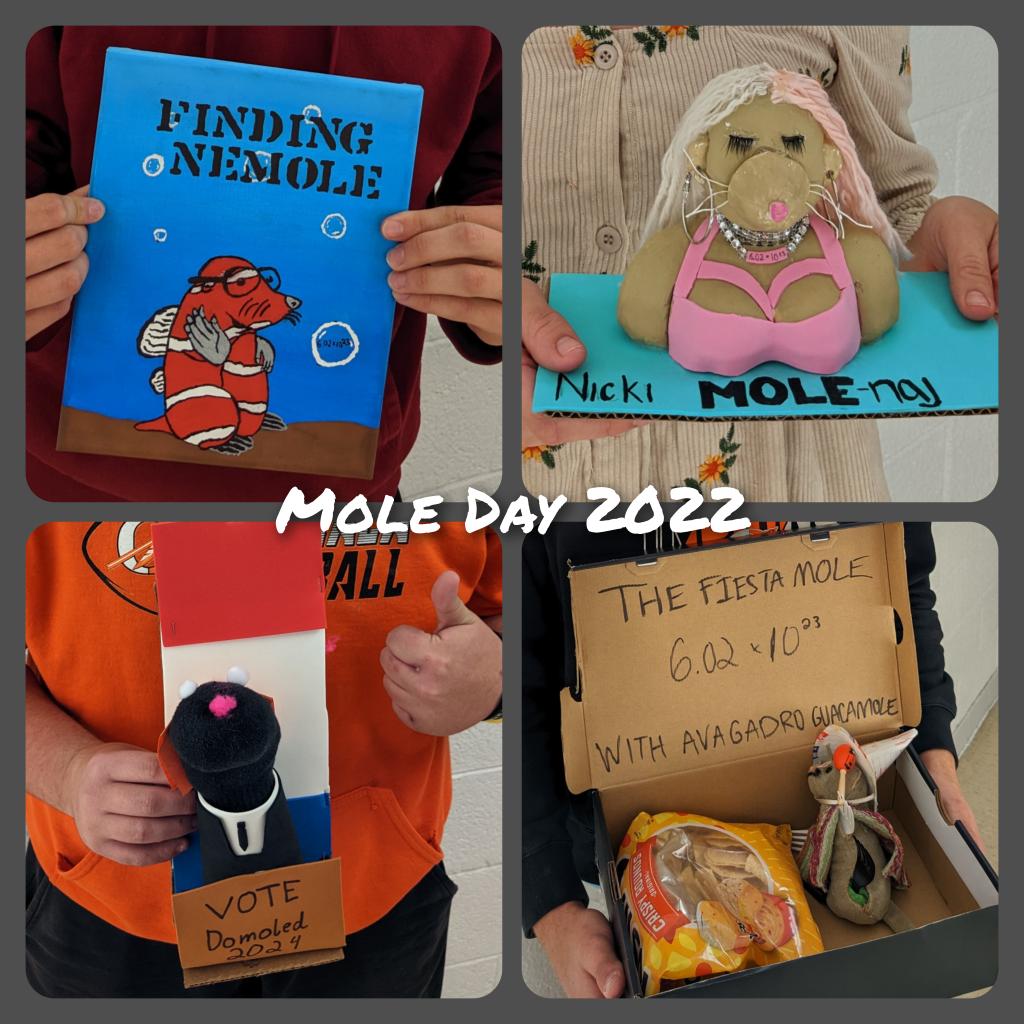 OGJJones's tweet photo. The #MoleDay projects were excellent as usual! Congratulations to those projects voted as best by their @OGIndians classmates in order to crown this year's mole day royalty! #chemistryparty #doublejscience https://t.co/l19wEZ8O9G