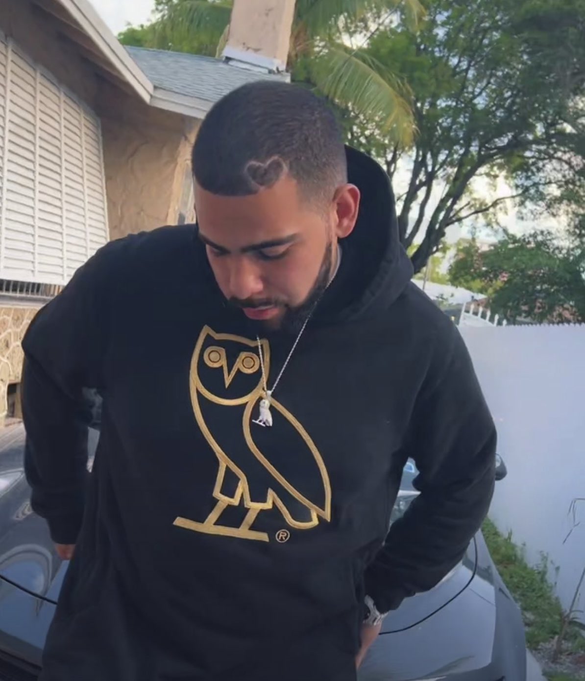 drake wearing ovo