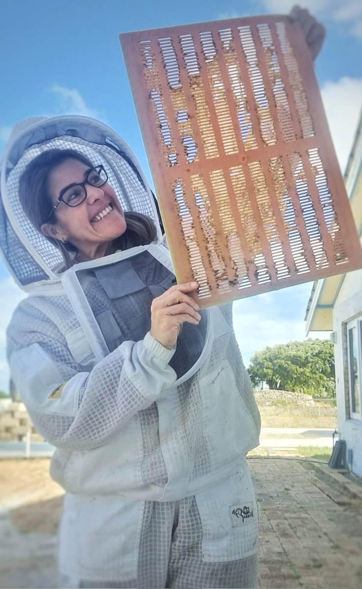 DaniBoksjo's tweet image. I love a beeautiful #propolis mat! Nothing like a good day with my friends 🐝🐝🐝💛 #beemagic