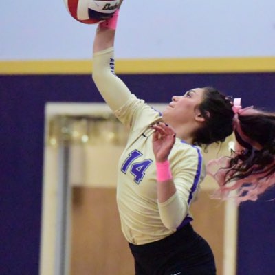 Alpine Buck Sports tweet media