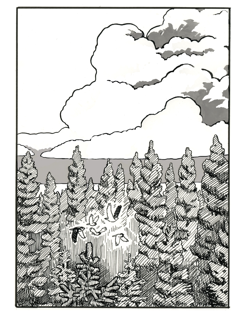 [24/31] - The 1st panel here is an edit of the last panel from 23. I don't normally change comics once I've posted them but in this case many people were interpreting there being smoke where I intended clouds. I thought this might lead to some confusion if I didn't fix it. 