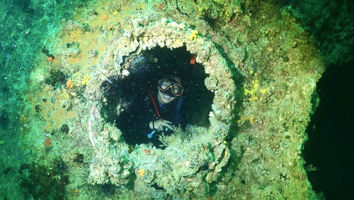 _blueploy's tweet image. #blueploy is diving.