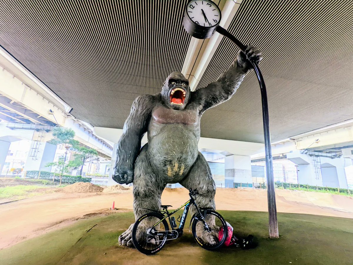 namako's tweet photo. ゴリラ公園で2回目のパーク朝練
ジャンプ後にペダル踏み外してスネにペダル当たって痛かったw
#besv #trs2xc #emtb #ebike #ゴリラ公園 https://t.co/etRU5oJItA