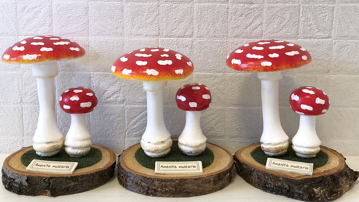 小島秋彦 シナノキ アクリルペイント マッシュルームスタンド 木彫り