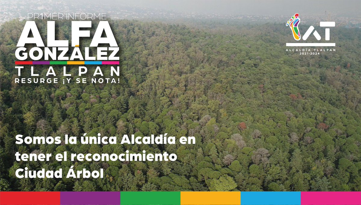 #Tlalpan es el pulmón de la #CDMX y #CiudadÁrbol 🌳 de la CDMX. #TlalpanResurge #YSeNota 👣