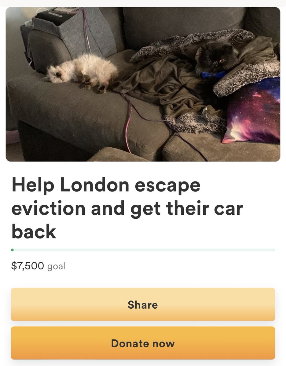 I don’t know how well this is going to go over, but after a few positive emails I received post the one telling me to off myself, I was encouraged to start a donation pool via gofundme since PayPal isn’t the best option, 🔗 is below sharing my situation in full.