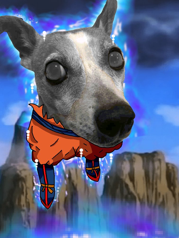 This is the best thing ever