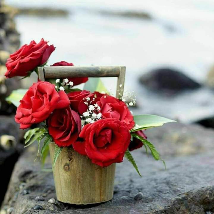 Asyr71's tweet photo. اصبحنا واصبح الملك لله والحمد لله رب العالمين 

#صبر_جميل_ثم_جبر_عظيم https://t.co/5rZgZ9xuAk
